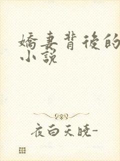 娇妻背后的秘密小说