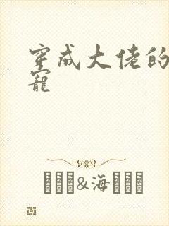 穿成大佬的心尖宠