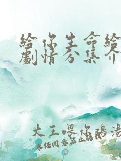 给你生命给我爱剧情分集介绍