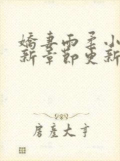 娇妻雨柔小说最新章节更新