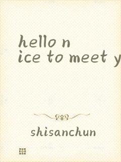 hello nice to meet you here 翻译