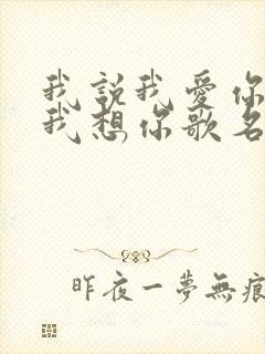 我说我爱你我说我想你歌名