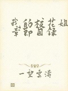 我的校花姐姐全章节目录