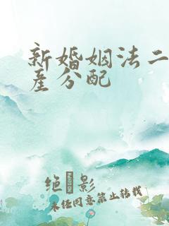 新婚姻法二婚财产分配