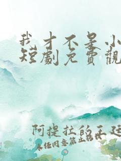 我才不是小可怜短剧免费观看全集