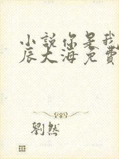 小说你是我的星辰大海免费阅读