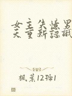 女主失忆男主每天重新认识她