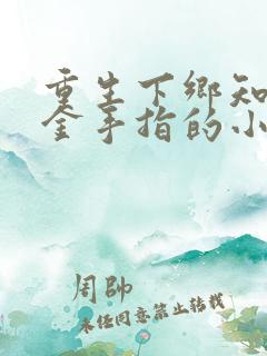 重生下乡知青带金手指的小说