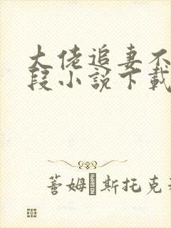 大佬追妻不择手段小说下载txt