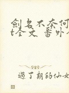 剑名不奈何txt全文 番外全