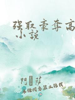 强取豪夺高干文 小说