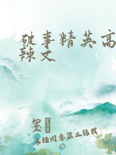 破事精英高h肉辣文
