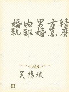 婚内男方精神出轨离婚怎么处理