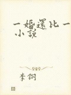 一婚还比一婚高 小说