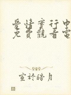 爱情实行中韩剧免费观看电视剧