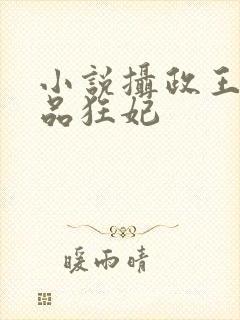 小说摄政王的医品狂妃