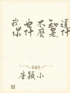 我也不知道我爱你什么是什么歌