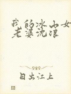 我的冰山女总裁老婆沈浪
