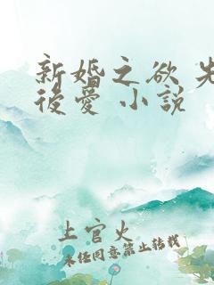 新婚之欲 先婚后爱 小说