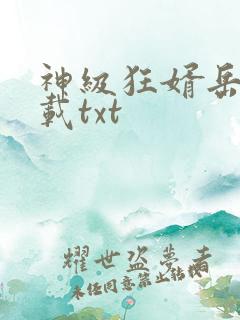 神级狂婿岳风下载txt