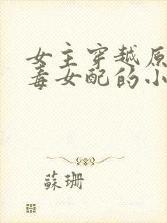 女主穿越原耽恶毒女配的小说