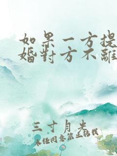 如果一方提出离婚对方不离怎么办