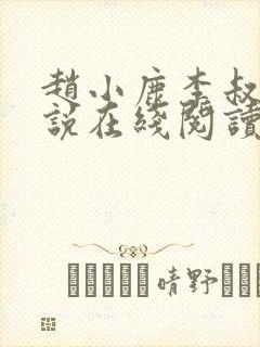 赵小鹿李叔的小说在线阅读