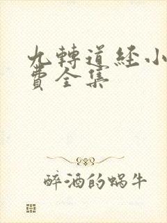 九转道经小说免费全集