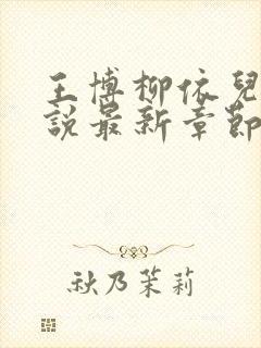 王博柳依儿的小说最新章节在线阅读