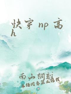 快穿 np 高h