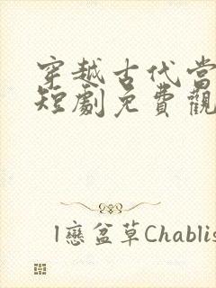 穿越古代当家丁短剧免费观看