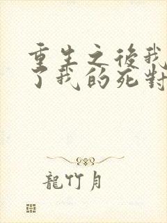 重生之后我嫁给了我的死对头