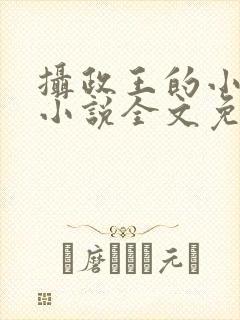 摄政王的小狼妃小说全文免费阅读