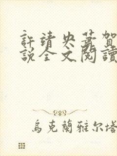 许靖央萧贺夜小说全文阅读最新章节