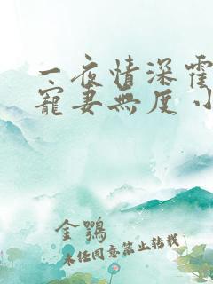 一夜情深霍先生宠妻无度 小说