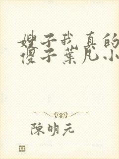 嫂子我真的不是傻子叶凡小说 原名