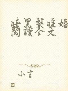 暗黑系暖婚阅读阅读全文