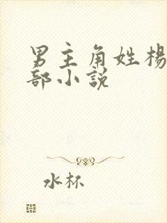 男主角姓杨的全部小说