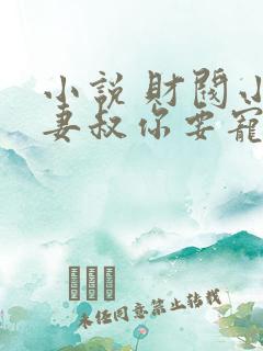 小说 财阀小娇妻叔你要宠坏我