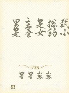 男主是总裁女主是养女的小说