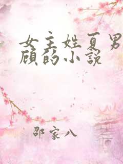 女主姓夏男主姓顾的小说