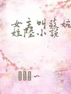 女主叫苏婉男主姓陆小说