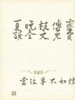 夏晚枝傅霁清小说全文免费阅读