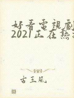 好看电视剧推荐2021正在热播的剧