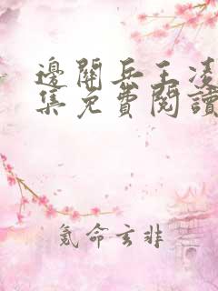 边关兵王凌川全集免费阅读