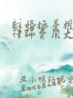 离婚抚养权起诉律师费用大概要多少