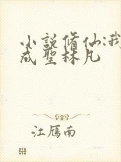 小说修仙:我欲成圣林凡