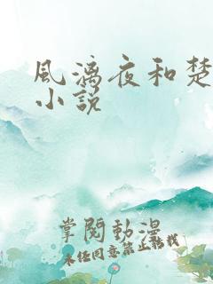 风漓夜和楚倾歌小说