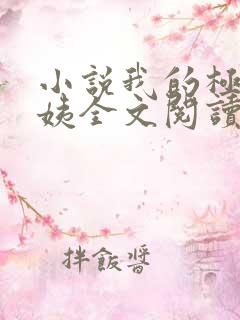 小说我的极品小姨全文阅读