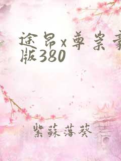 途昂x尊崇豪华版380